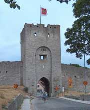 Gotland Kinder