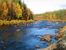 Lappland Natur