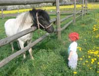 Pony und Kind
