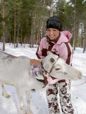 Winterurlaub Finnland