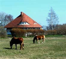 Ostsee Hotel