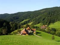 Schwarzwald günstig