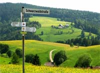 Schwarzwald Wanderwege