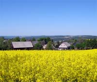 Erzgebirge Kinderbetreuung