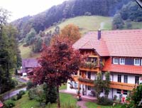 Schwarzwald Kinderhotel
