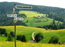 Schwarzwald wandern 