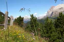 Südtirol mit Kinderbetreuung