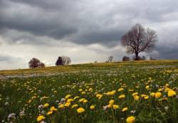 Allgäu, Ostern