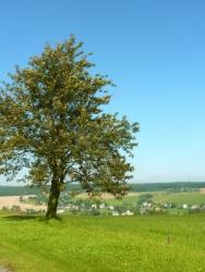 Erzgebirge Ferienhaus