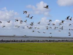 Nordsee Last-Minute