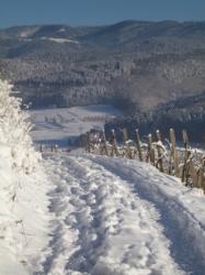 Schwarzwald Winter