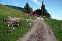 Bayern mit Kinder