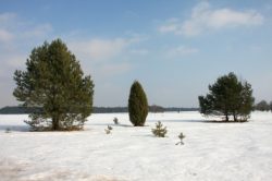 Lüneburger Heide Winter