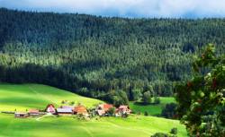 Schwarzwald-Bauernhof-billig