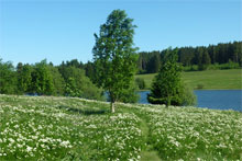 Familienurlaub im Harz