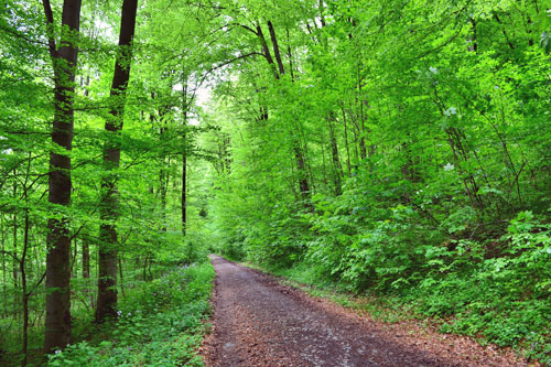 Familienwandern Harz