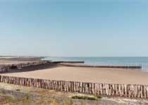 Niederlande Sommer