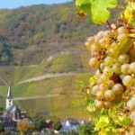 Mosel Urlaub mit Kindern ins Hotel