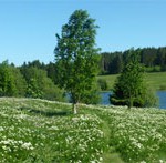 Familienurlaub im Harz